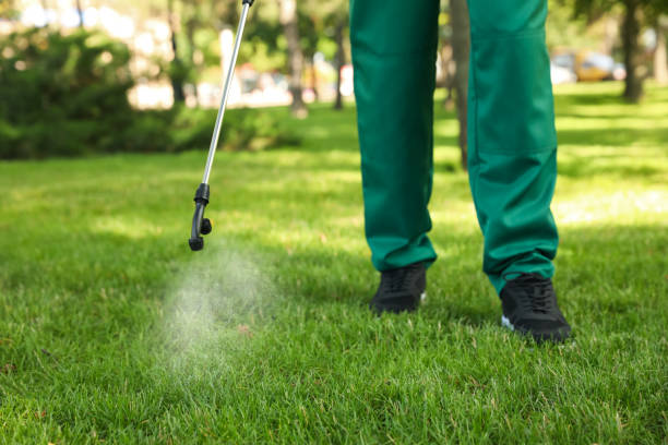 Best Pest Inspection Near Me  in Ste Genevieve, MO