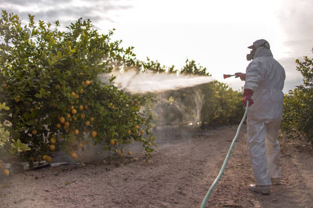 Best Wildlife Control Services  in Ste Genevieve, MO