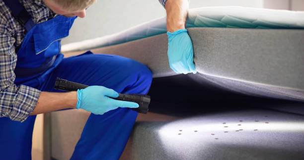 Best Bed Bug Extermination  in Ste Genevieve, MO