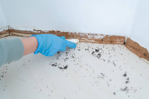 Trusted Ste Genevieve, MO Pest Control Experts