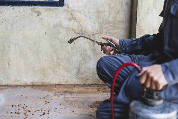 Best Residential Pest Control  in Ste Genevieve, MO